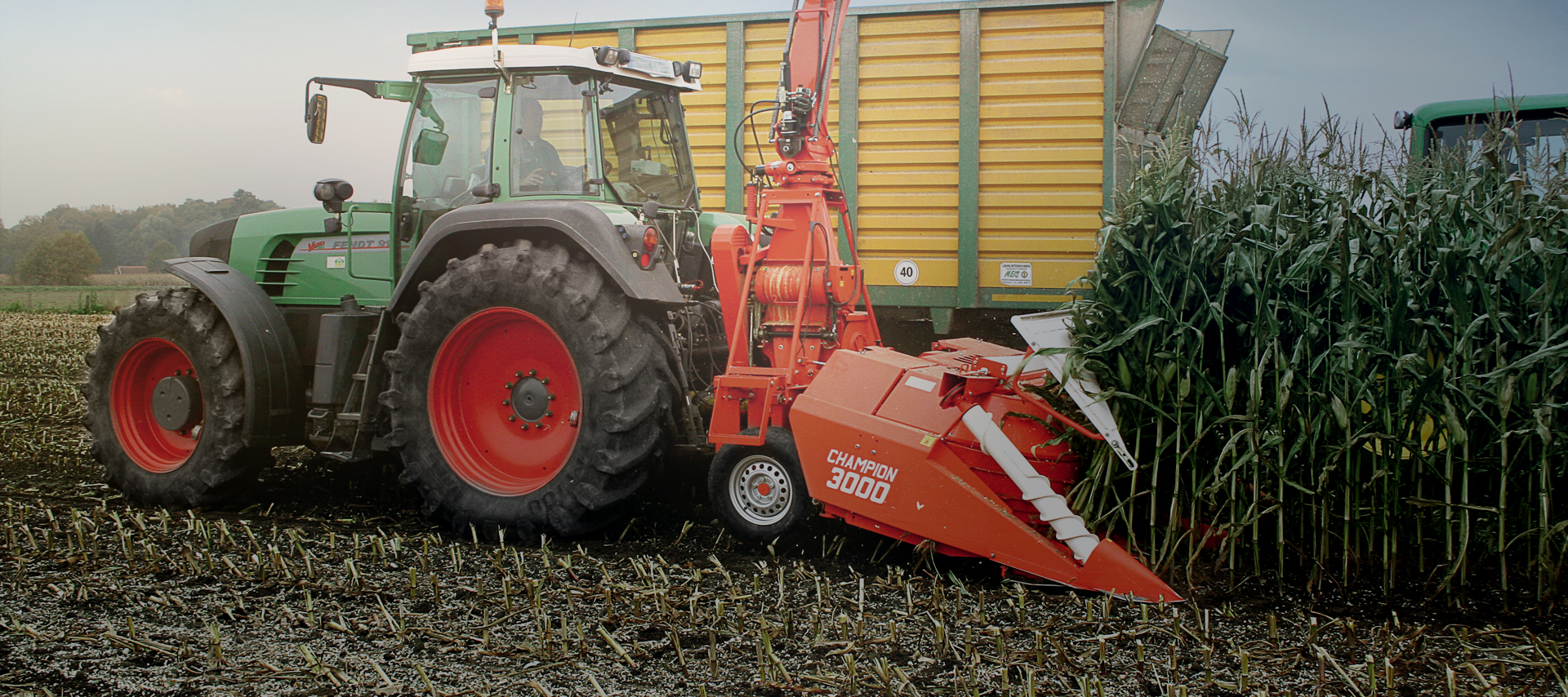 Strongest distribution network